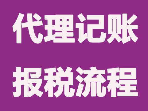 新公司如何网上申报纳税？